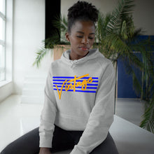 Load image into Gallery viewer, VINTAGE STARS AND STRIPES GOLD AND BLUE (UNISEX) HOODIE